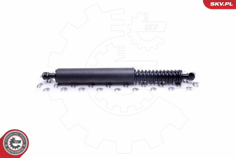 Gas Spring, boot/cargo area